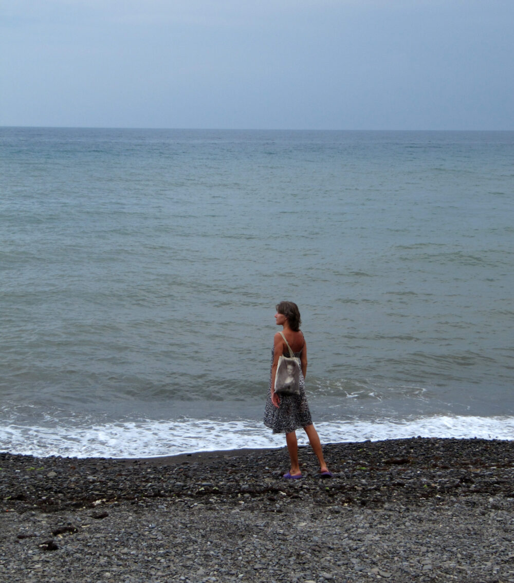 Elmira Shemsedinova, Tense Horizon