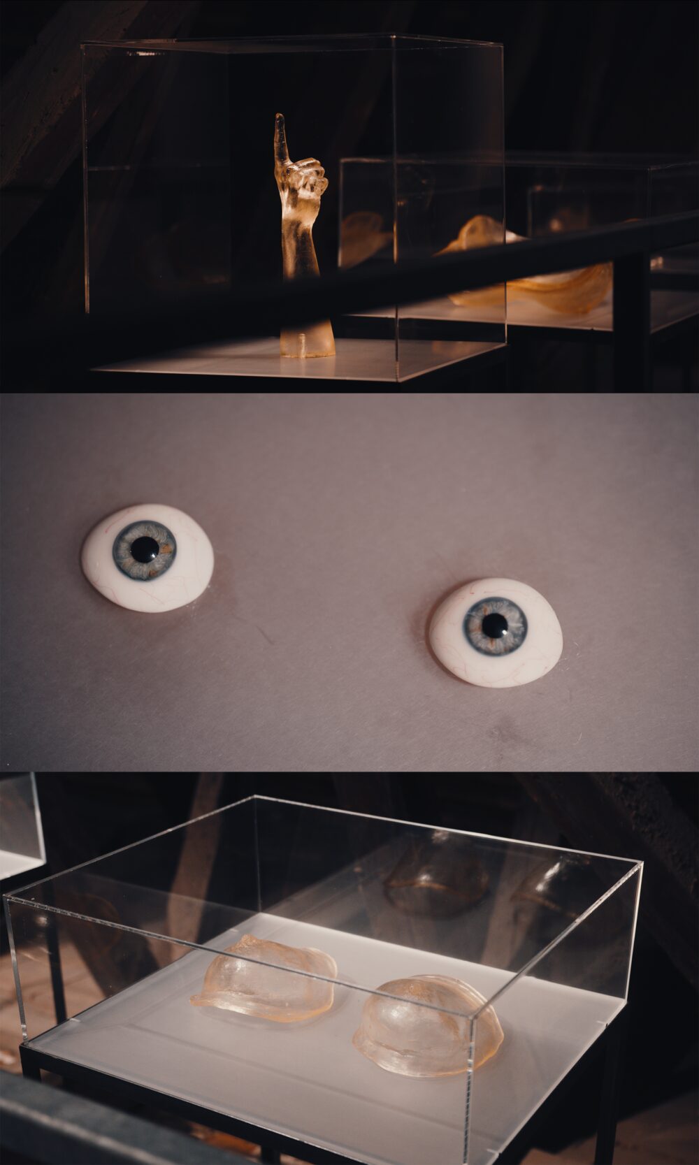 Ausstellungsansicht Claudia Schink, KULTUM, Foto: David Rauchenberger