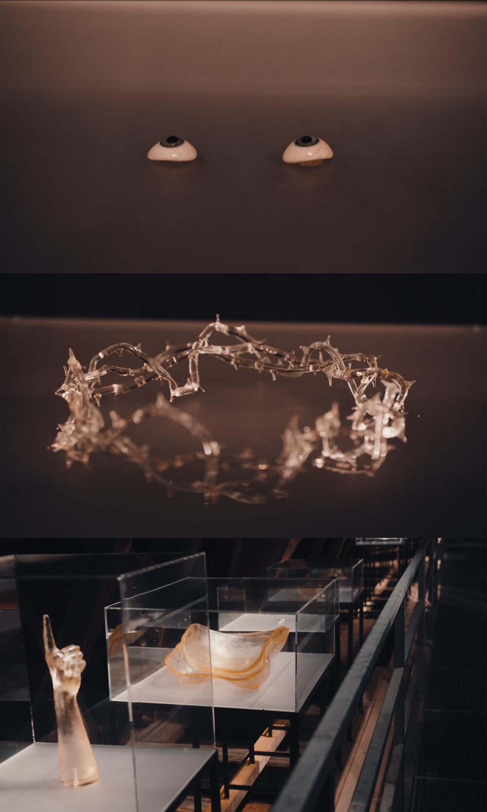 Ausstellungsansicht Claudia Schink, KULTUM, Foto: David Rauchenberger