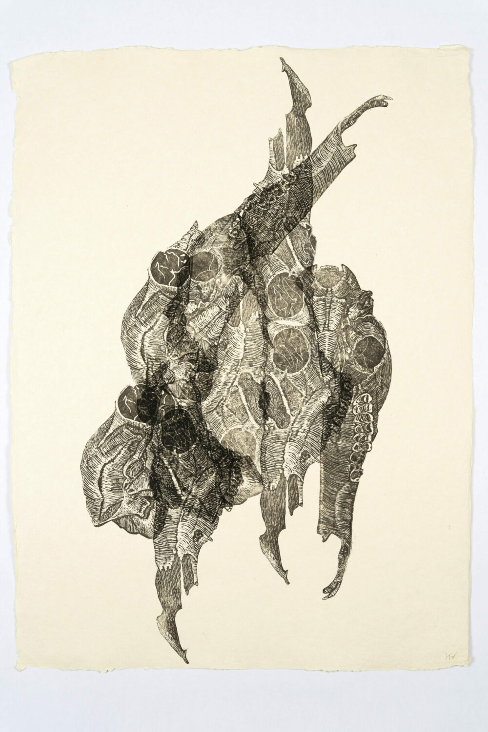 Katharina Windisch, OT