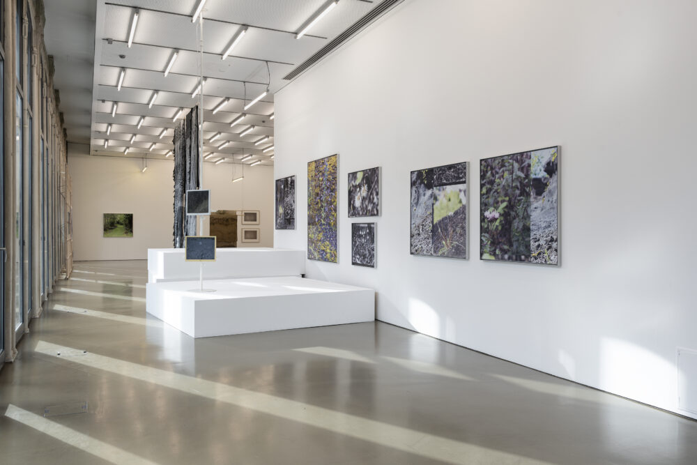Susanne Kriemann: Ray, Rock, Rowan (Being a Photograph), Installationsansicht Camera Austria, Graz, 2025, Foto: Markus Krottendorfer