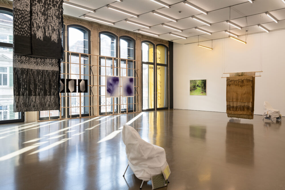 Susanne Kriemann: Ray, Rock, Rowan (Being a Photograph), Installationsansicht Camera Austria, Graz, 2025, Foto: Markus Krottendorfer