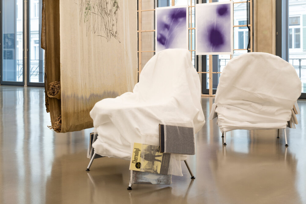 Susanne Kriemann: Ray, Rock, Rowan (Being a Photograph), Installationsansicht Camera Austria, Graz, 2025, Foto: Markus Krottendorfer