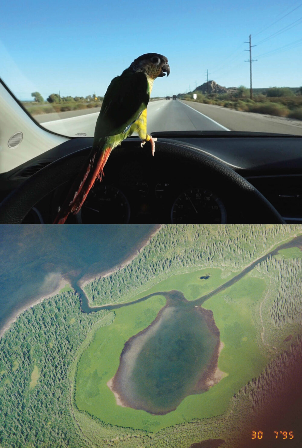 Martin Roth, In November 2014 I filmed a bird driving to the salton sea in California, 2014 (Filmstill), Courtesy Archiv Martin Roth © Bildrecht, Wien 2023 / Ingrid Wiener, Flusslandschaften von oben, Yukon, Northwest Territories, Alaska, 1988-2001, Courtesy der Künstlerin