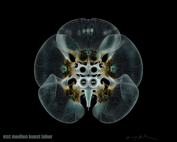 Esc medien kunst labor Jahressujet 2026 web 1350x1080